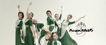 Animals dance company (Казань, ул. Лево-Булачная, 16)