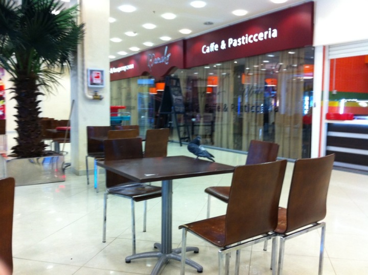 рио саранск кинотеатр. рио на тутаевском ярославль кинотеатр. рио кинотеатр белгород. синема стар на московском проспекте. трц рио ярославль кинотеатр тутаевское шоссе.